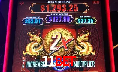 A Experiência Imersiva dos Cassinos Ao Vivo no 11bet
